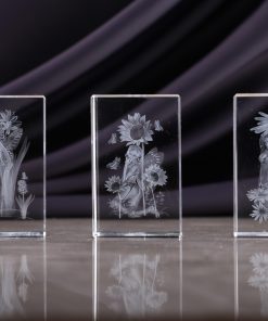 3D Crystal-3D041