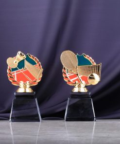 Sports Awards Crystal-SA065