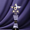 Star Shape Crystal-SSC021