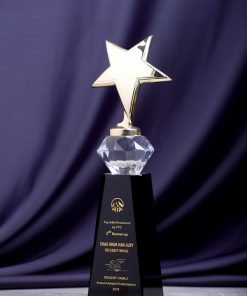 Star Shape Crystal-SSC042