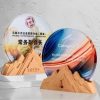 Wooden Trophy-WT009