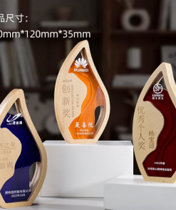 Wooden Trophy-WT018