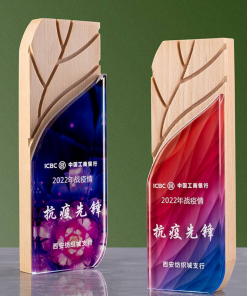 Wooden Trophy-WT017