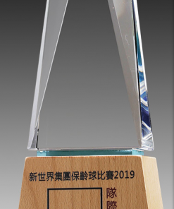 木製獎杯-WT004