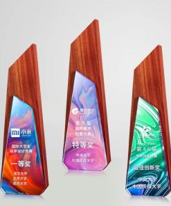 Wooden Trophy-WT023