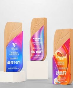 Wooden Trophy-WT024