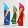 Wooden Trophy-WT032
