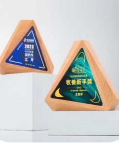 Wooden Trophy-WT034