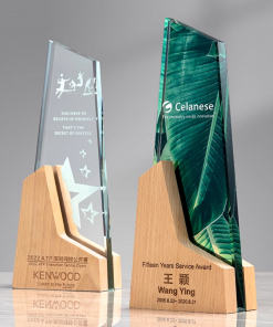Wooden Trophy-WT036