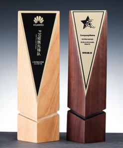 Wooden Trophy-WT038