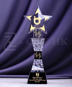 Star Shape Crystal-SSC021