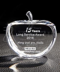 桌上禮品水晶-TGC006