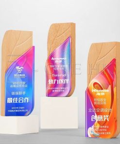 木製獎杯-wt022-1-1