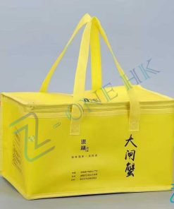 帆布袋/保溫袋/不織布袋/書包-Bag_006