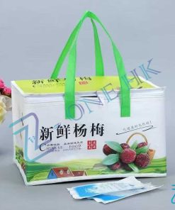 帆布袋/保溫袋/不織布袋/書包-Bag_008